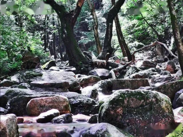 虫虫助手下载